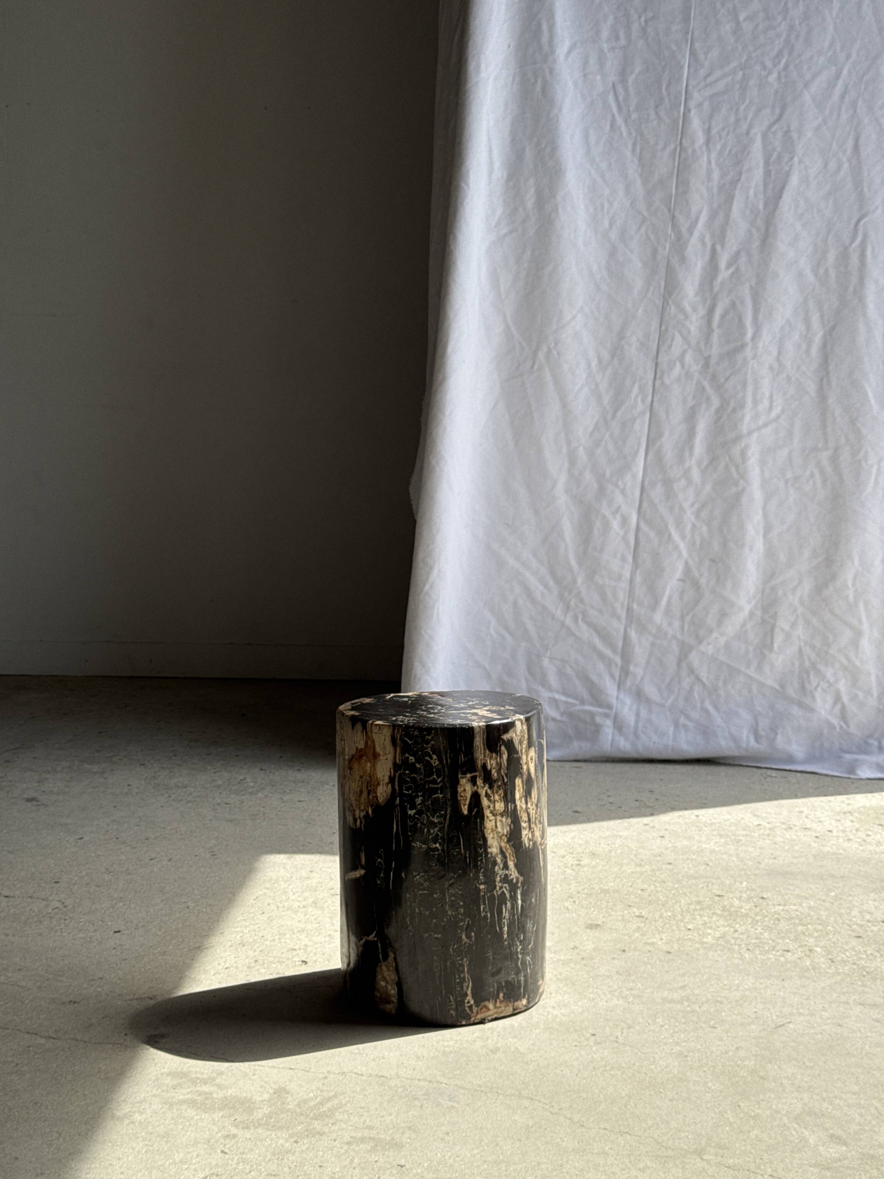 Black petrified wood side table with beige side H35 D24 - 3352