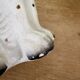 Pair of Staffordshire-type dogs in white and gold ceramic