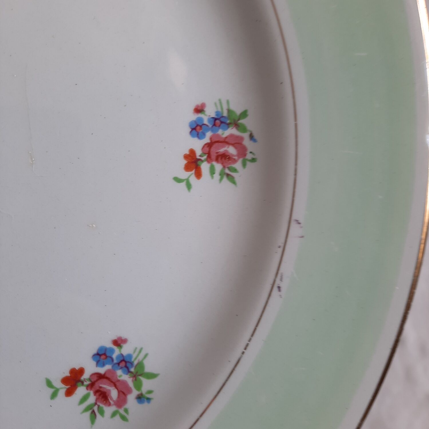 Flat earthenware plates with gilded edges