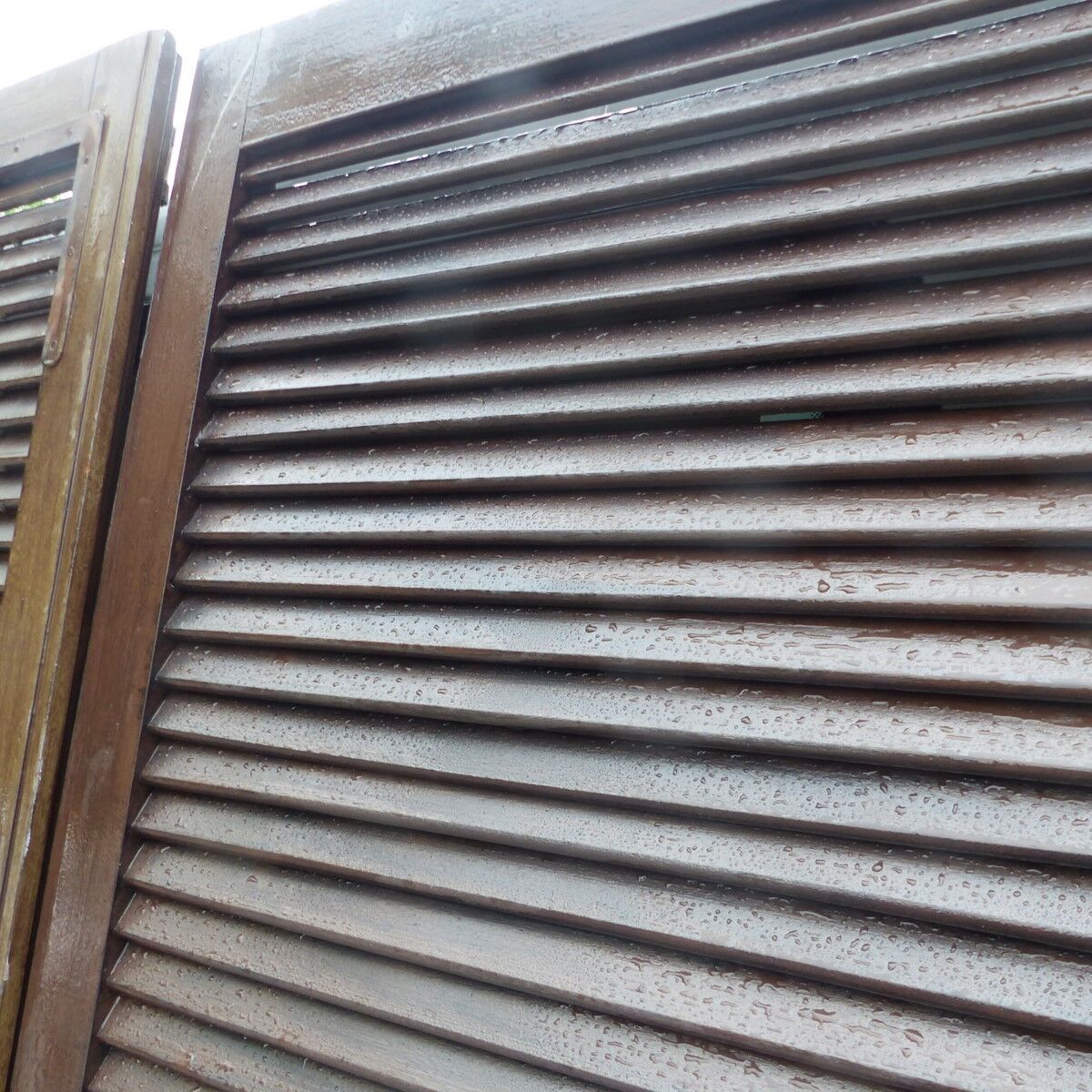 Set of 6 shutters