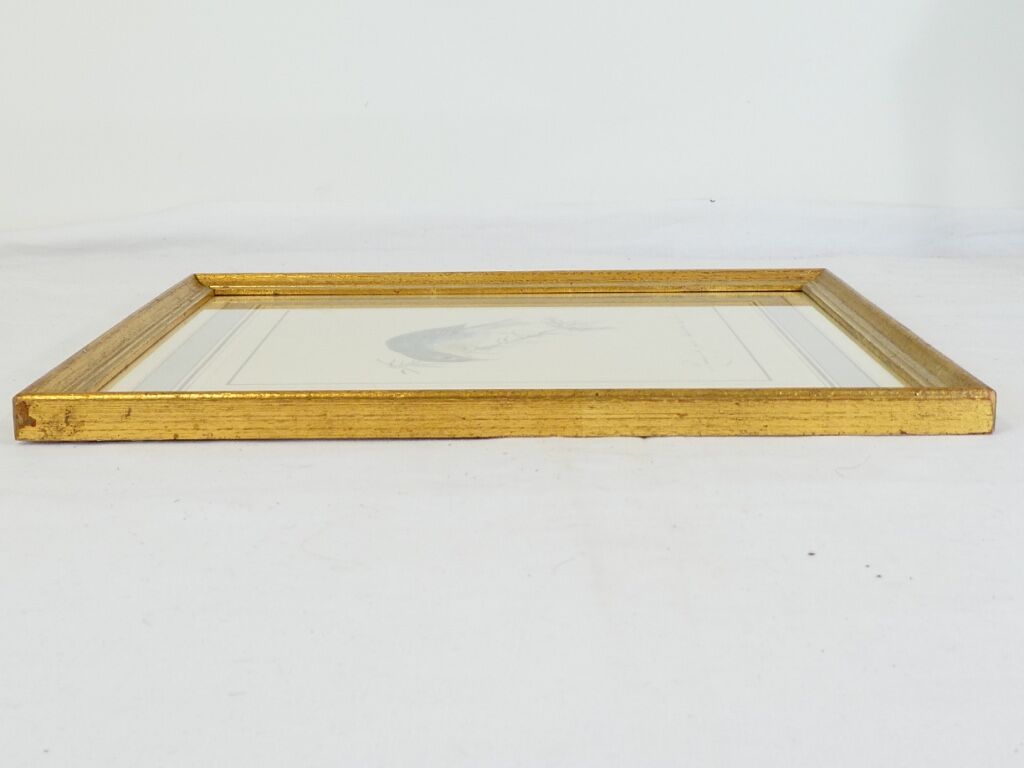 Lithographie Oiseau Rossignol du Japon cadre doré Déco loft