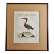 Original engraving by François Nicolas Martinet, 18th century, Louisiana crab fisher, framed,