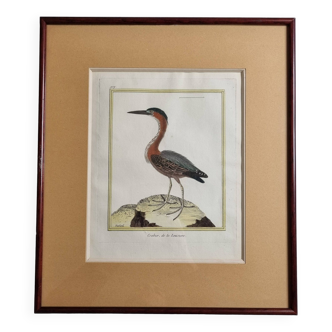 Original engraving by François Nicolas Martinet, 18th century, Louisiana crab fisher, framed,