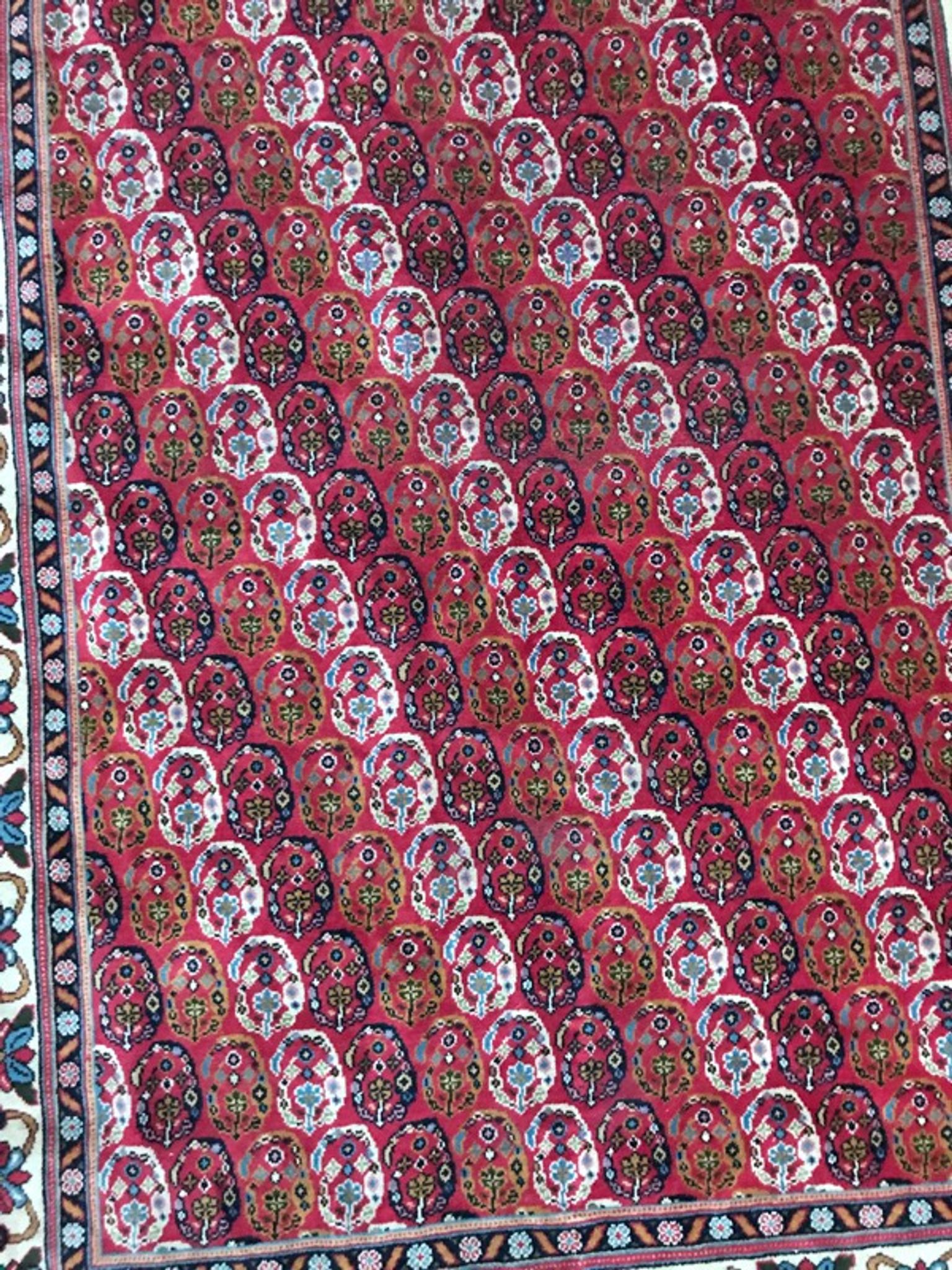 Carpet  Transylvania  170 x 268 cm
