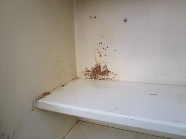 Mado antique kitchen cabinet, all metal