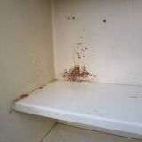 Mado antique kitchen cabinet, all metal