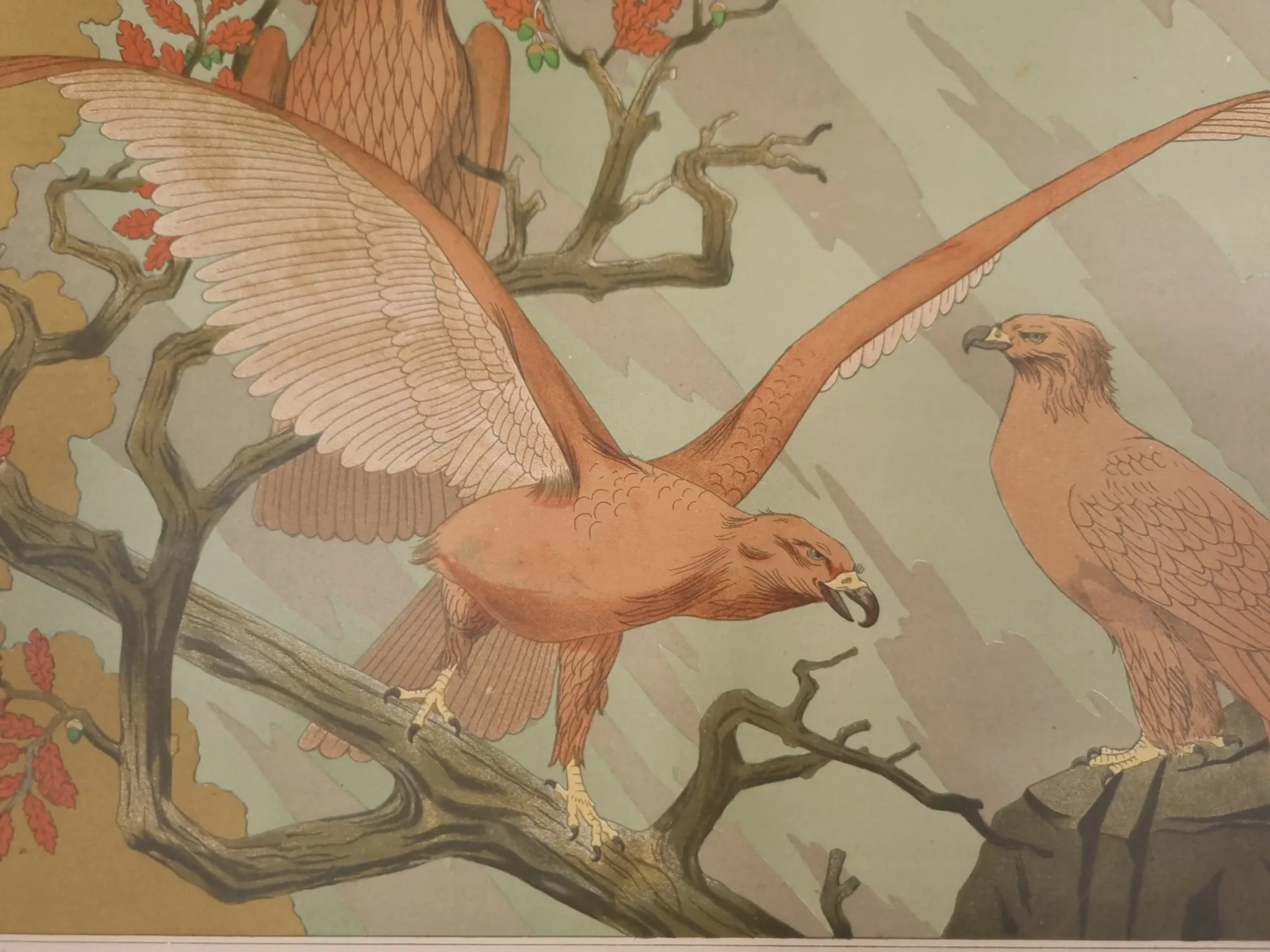Art nouveau lithograph 'Aigles' – eagles, M.P. Verneuil, 1897