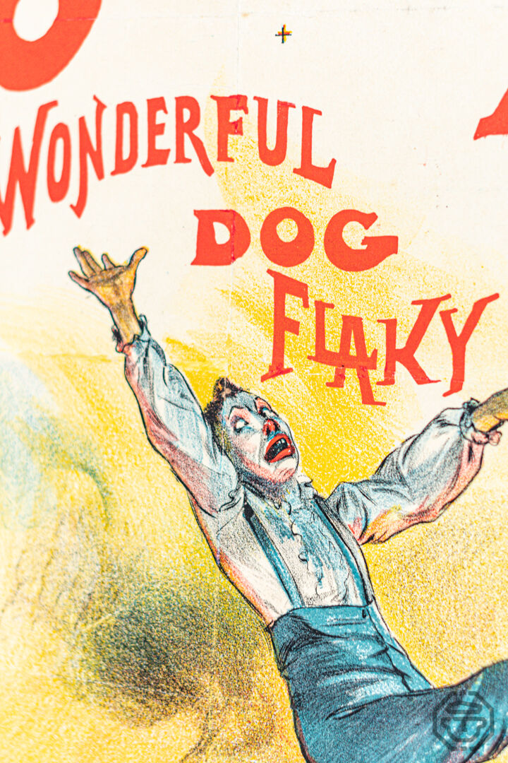 Egyo and Luigi circus poster