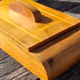 Box in olive tree