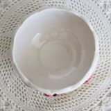 Vintage earthenware bowl with barbotine decoration - Fruit motif