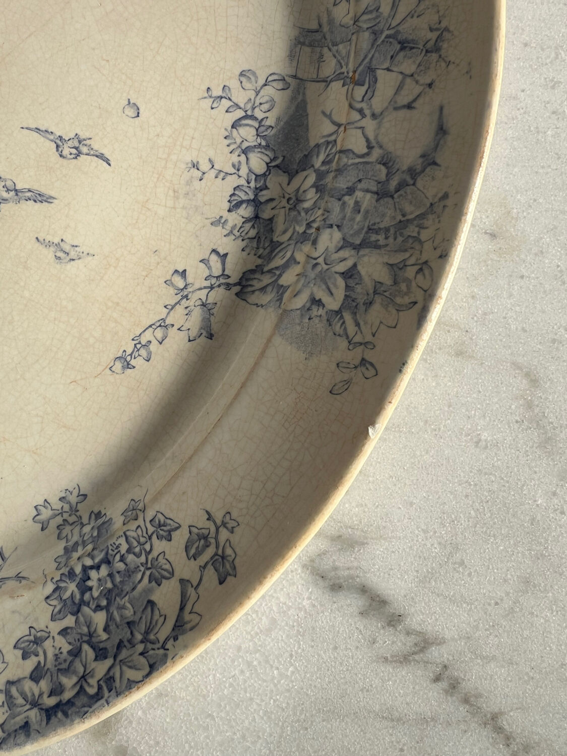 Oval blue presentation plate with birds.