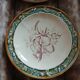 5 assiettes anciennes majolique Longchamp 