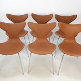 Set of 6 Lily chairs by Arne Jacobsen for Fritz Hansen, 1960s