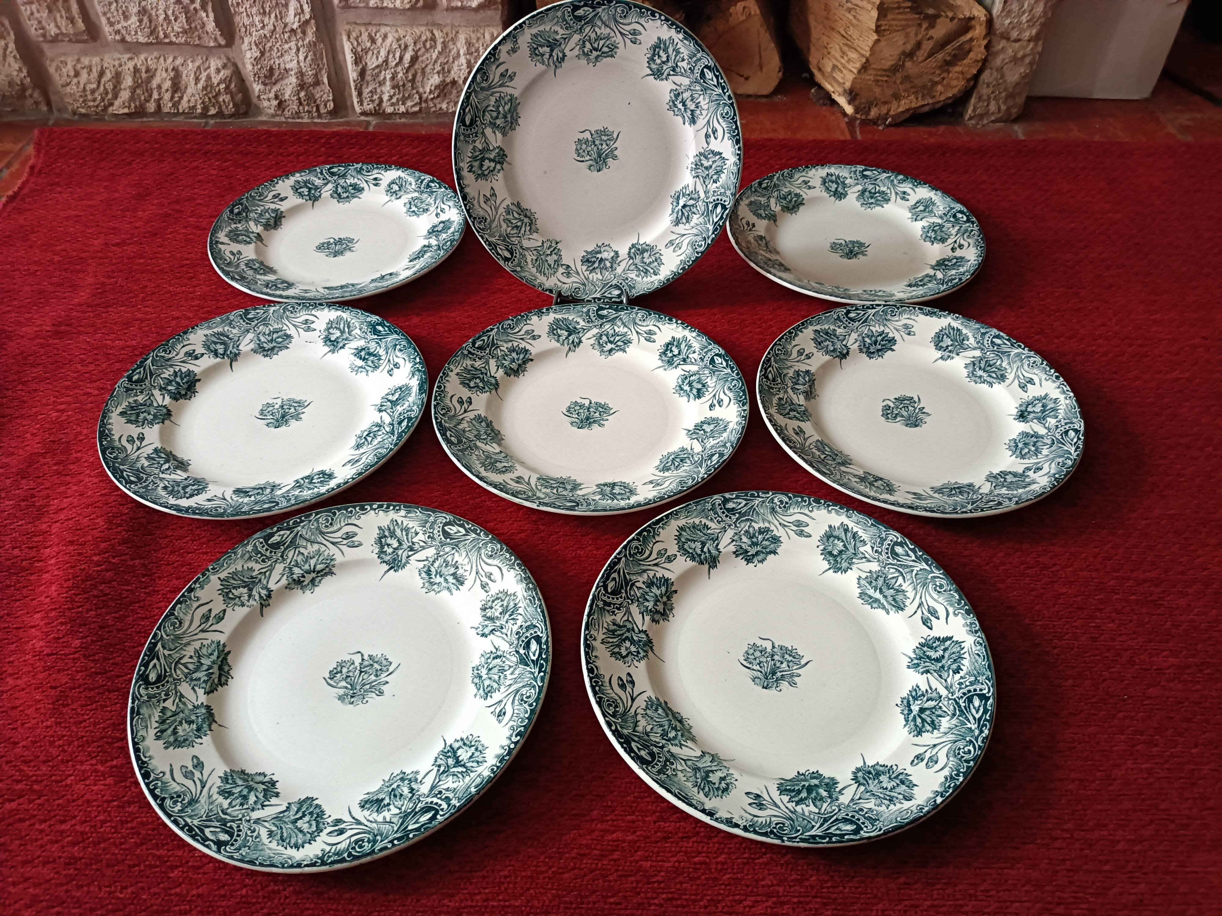 8 Plates Flat Earthenware Old Iron Earth Saint Amand Model Carnations.