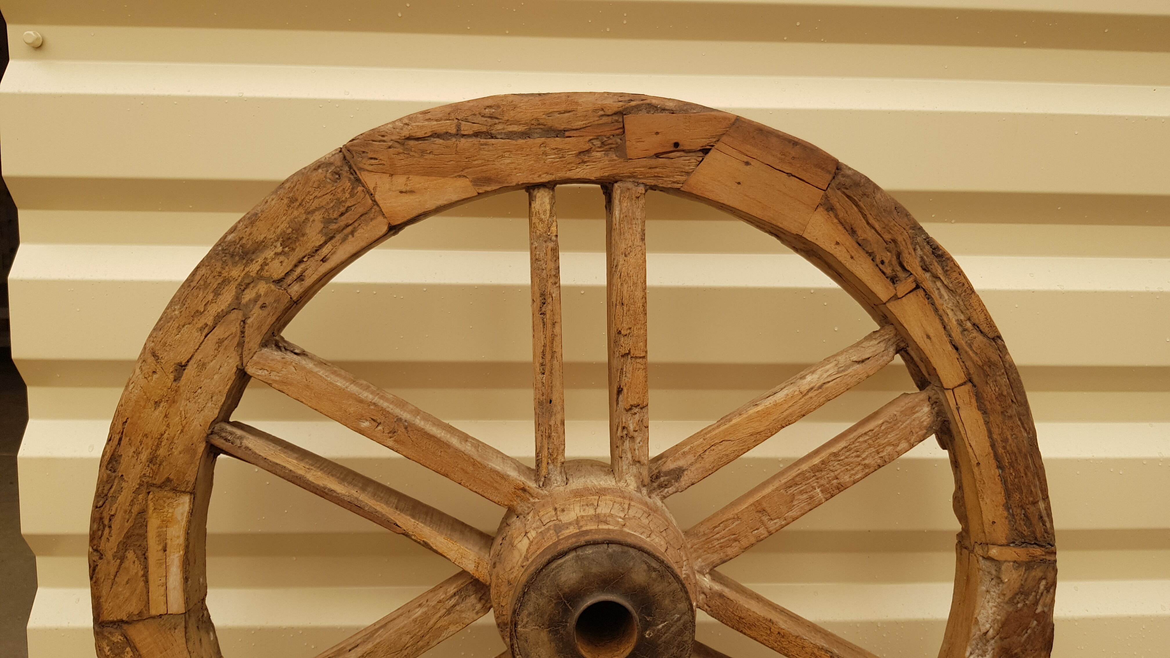 Old teak plow wheel