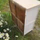 Low parisian style white and lila wooden tray