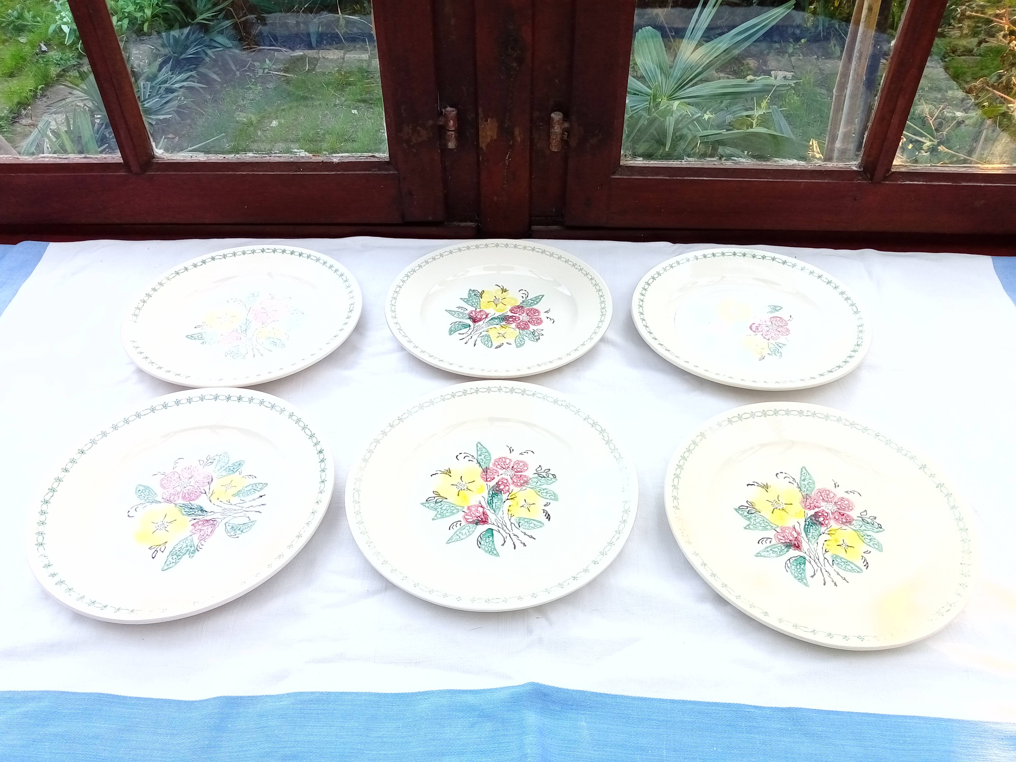 6 old flat plates