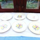 6 old flat plates