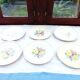 6 old flat plates
