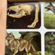 Affiche animalière ancienne