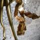 Brass sconce from Maas-Rossi 1970