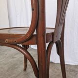 Chaise de salle à manger vintage en bois courbé : fauteuil style Thonet du milieu du siècle