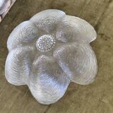 Oyster shaped glass salad bowl