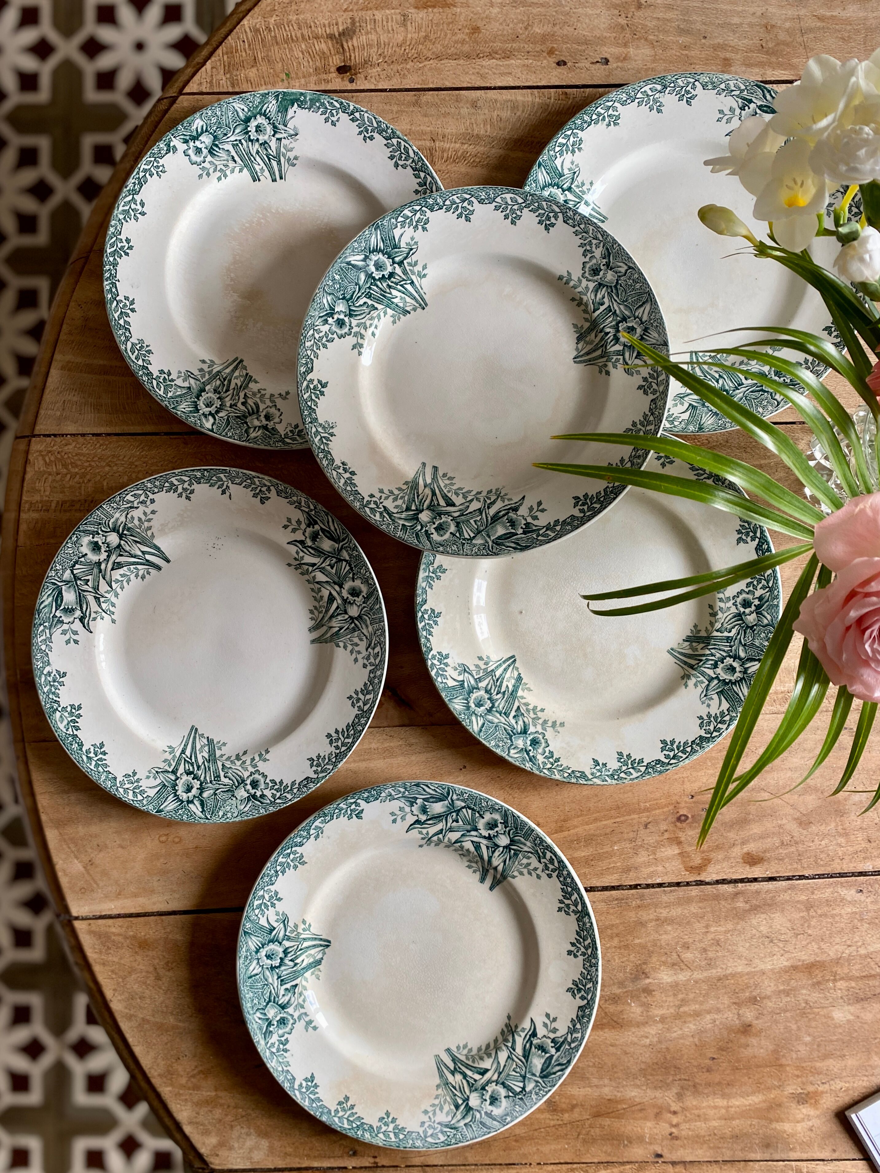 Set of 6 flat plates in iron earth (LOT 5)