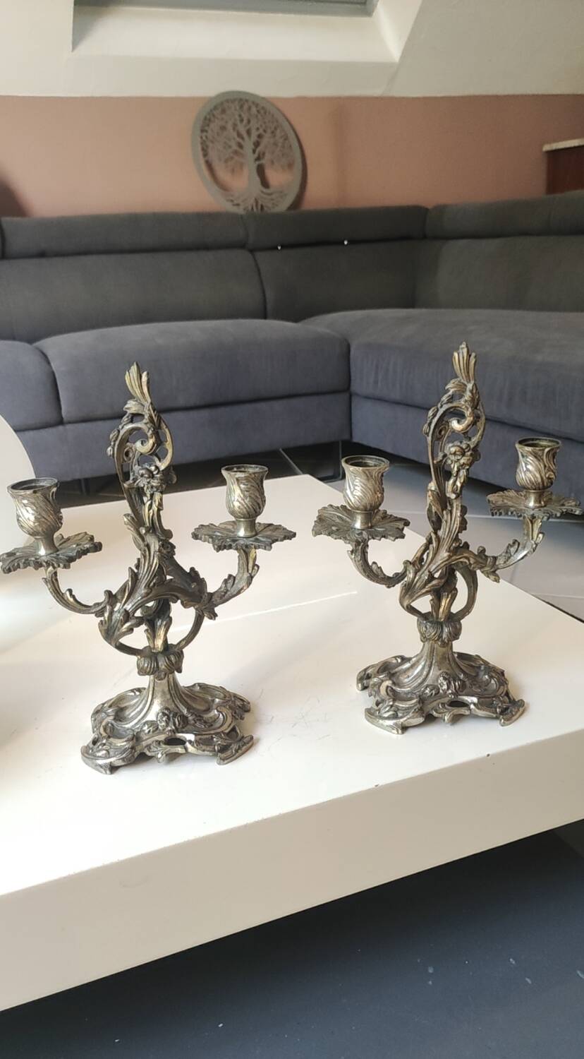 Pair of Candelabra in Louis XV/Rocaille Style, 2 lights. In gilded bronze, 19th century.