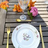 Set of 5 Ceranord Saint Amand Regence model plates