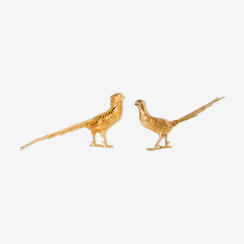 Gold-plated pheasants of the early twentieth century
