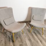 Restored pair of armchairs by Miroslav Navratil