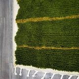 Traditional handmade pure wool rug, size 150 x 250 cm