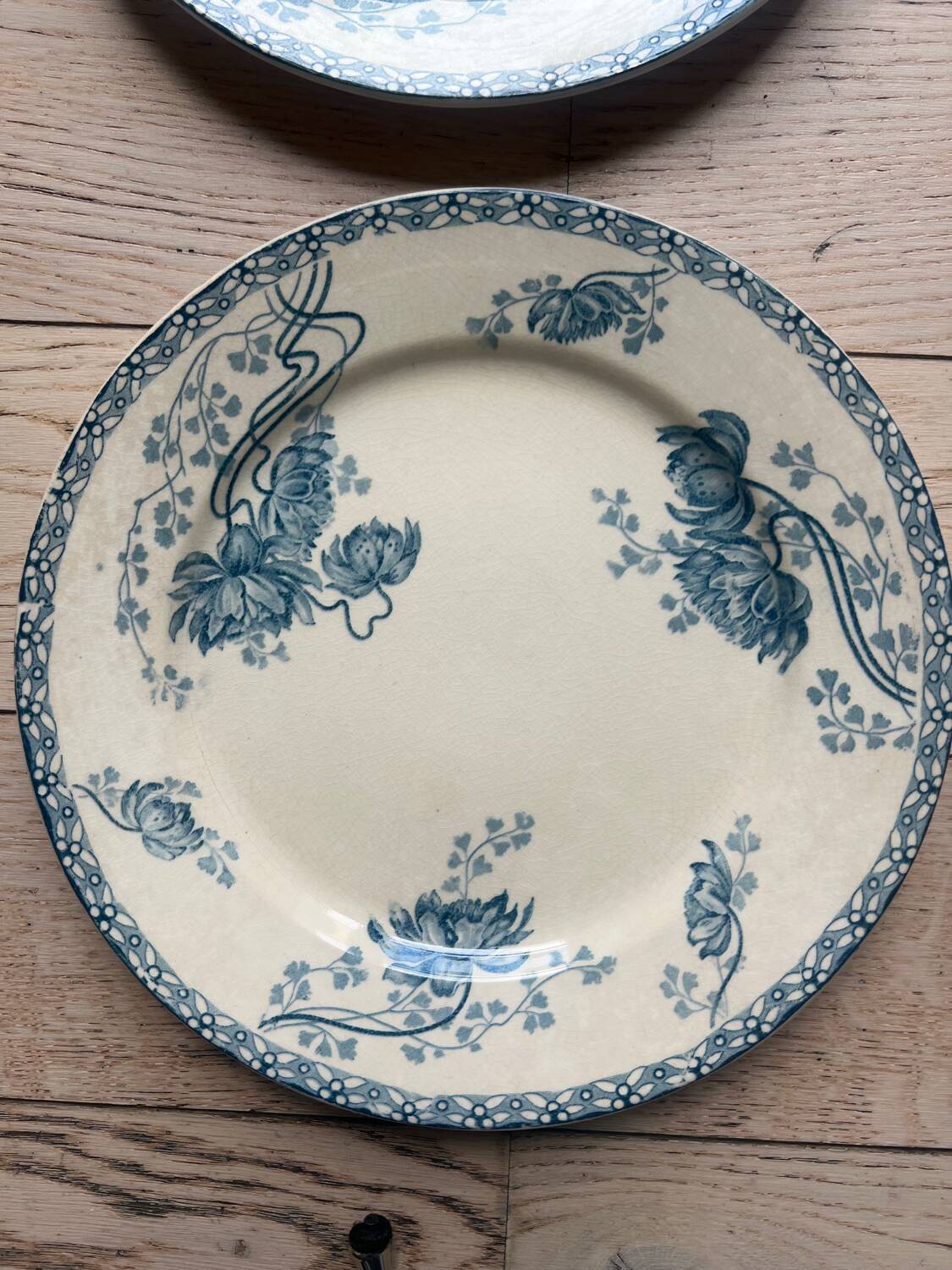 Royat Sarreguemines model flat plates