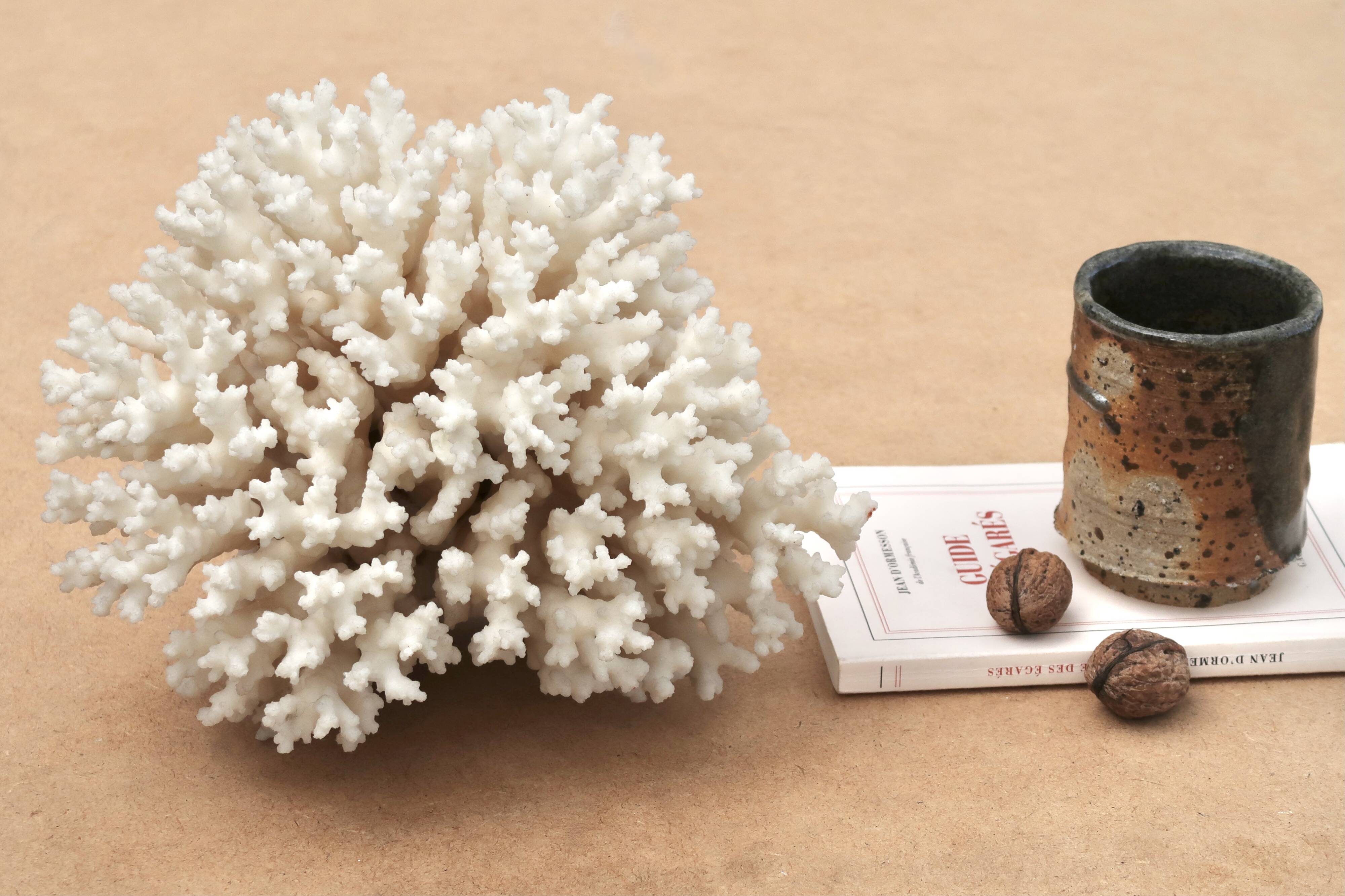 Vintage natural white coral, 1970s