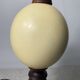 Wooden and ostrich egg lamp base