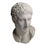 Bust of Diomedes King of Argos, called "Richelieu", in plaster after an original of the Louvre, 40 cm
