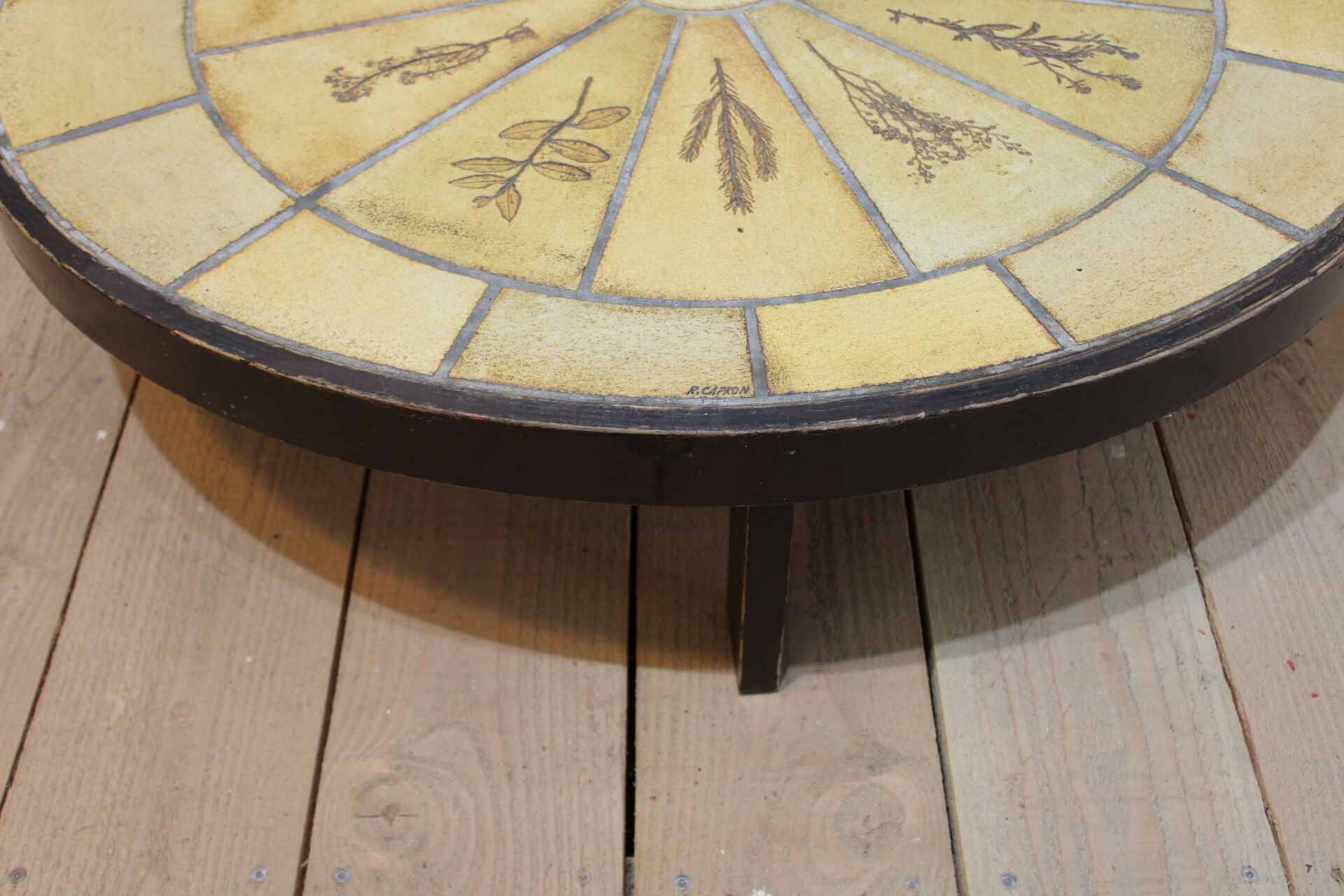 Roger Capron herbarium coffee table