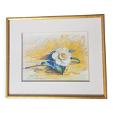 Pastel signed Robert Fily
