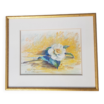 Pastel signed Robert Fily