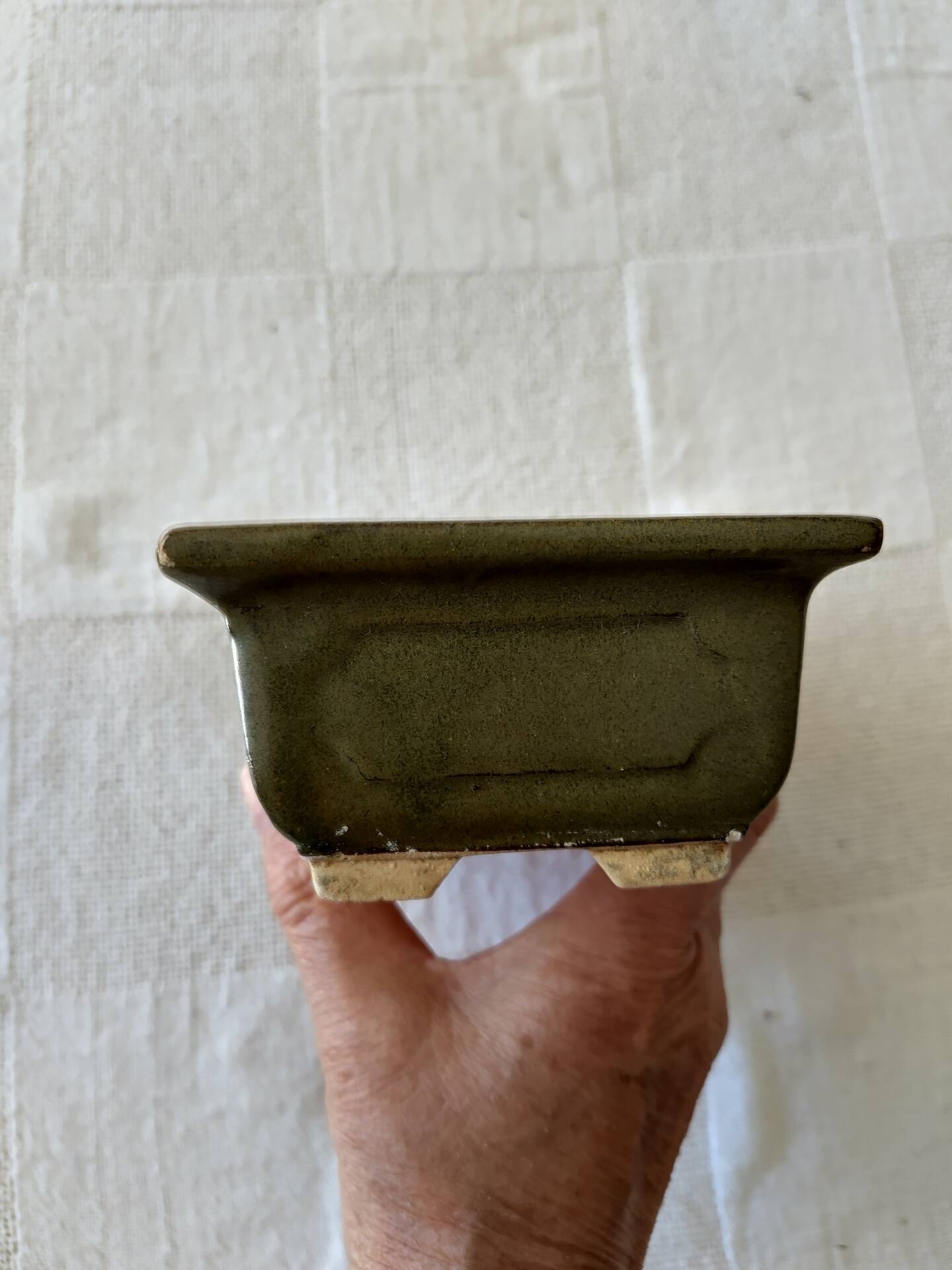 Pot bonsaï ou cactus rectangulaire vert