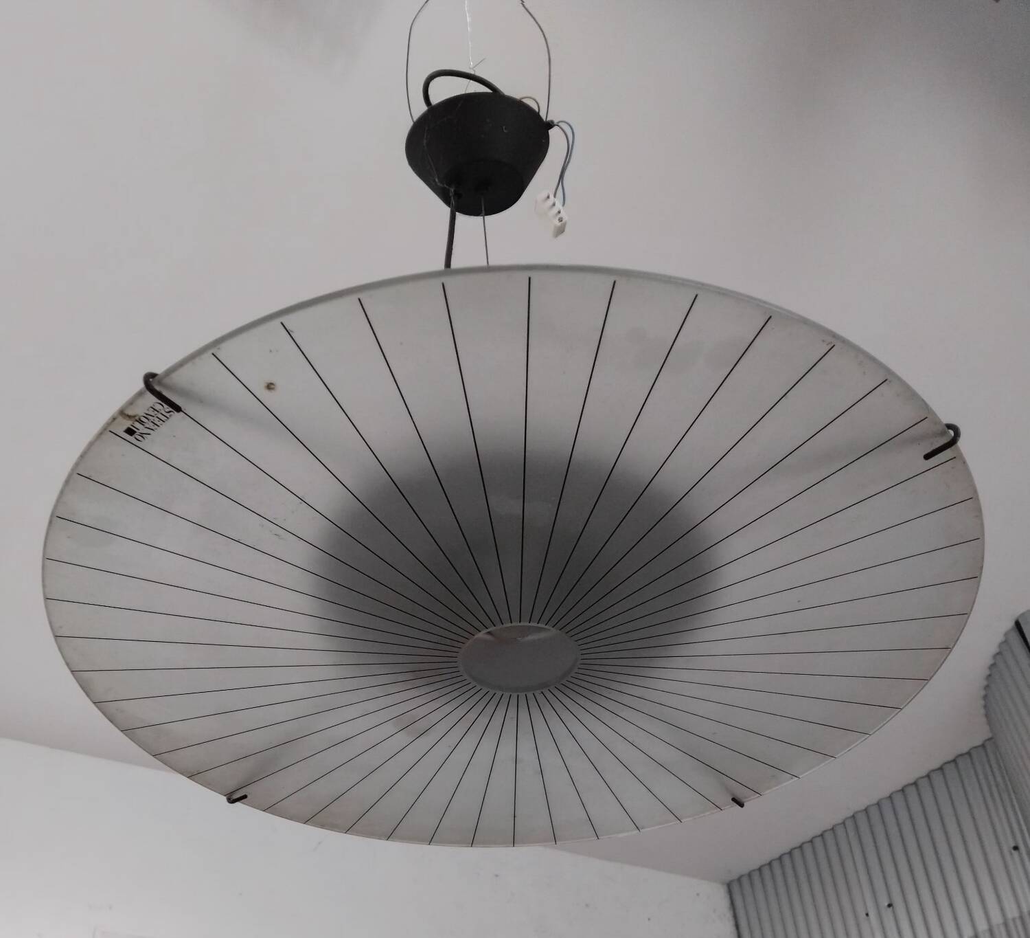 Suspension Stefano Cevoli