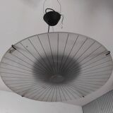 Suspension Stefano Cevoli