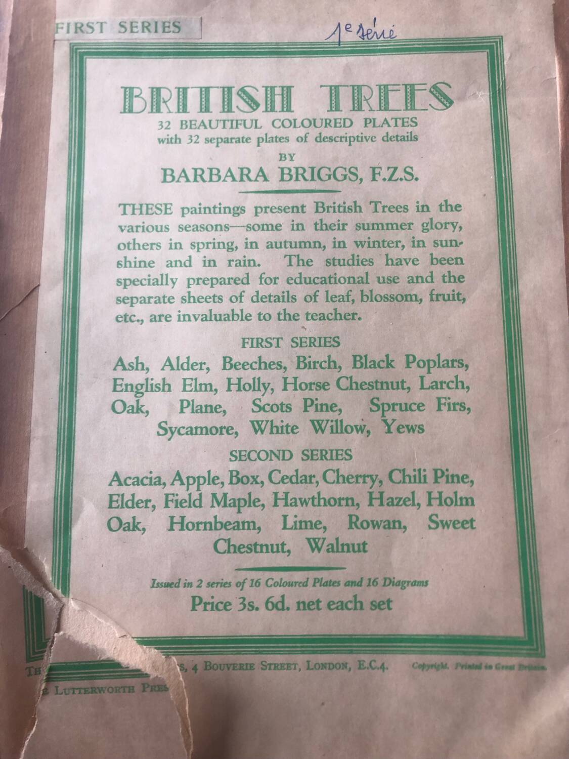 Botanical poster Pin