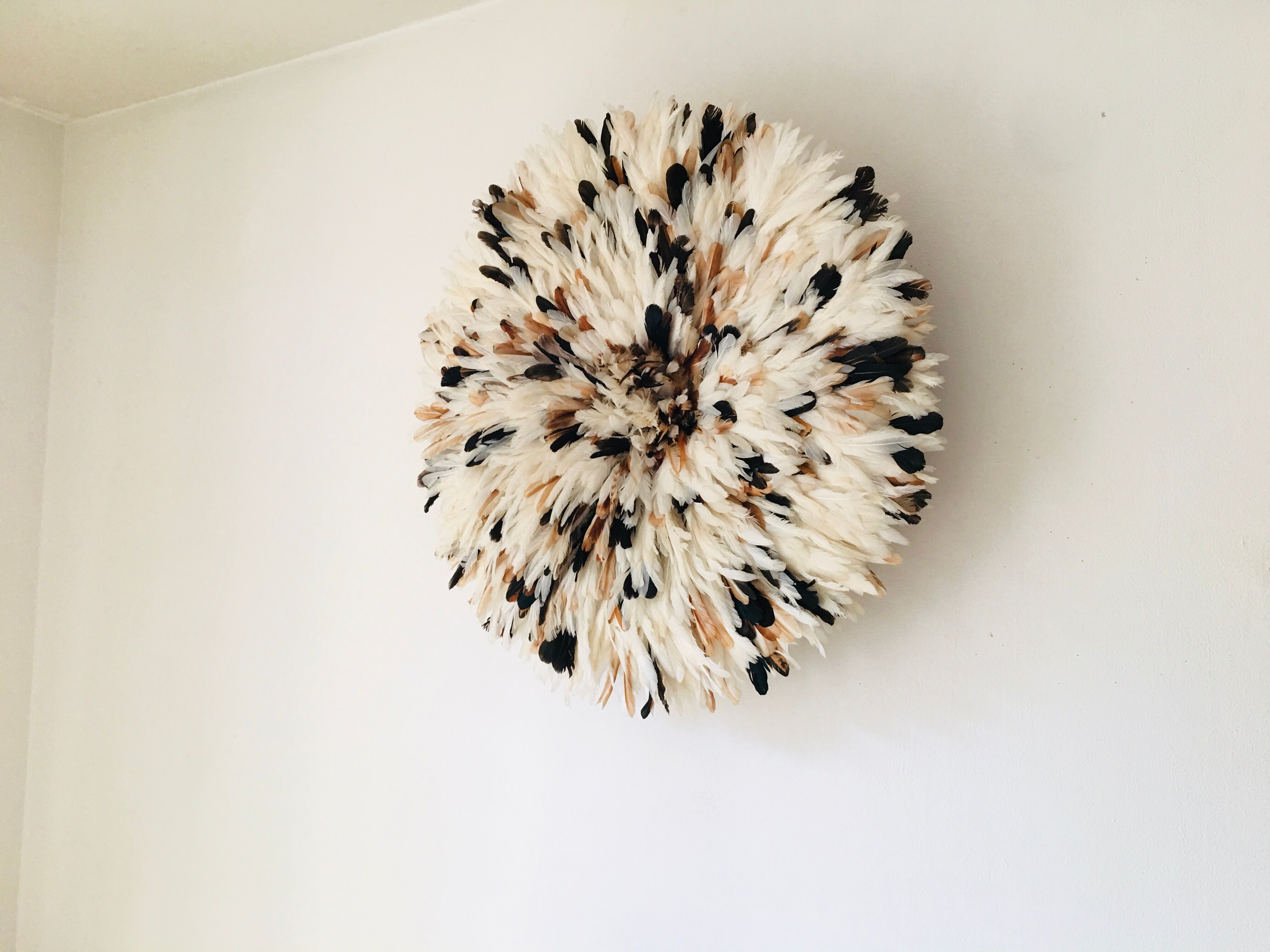 Speckled white jujuhat 75 cm