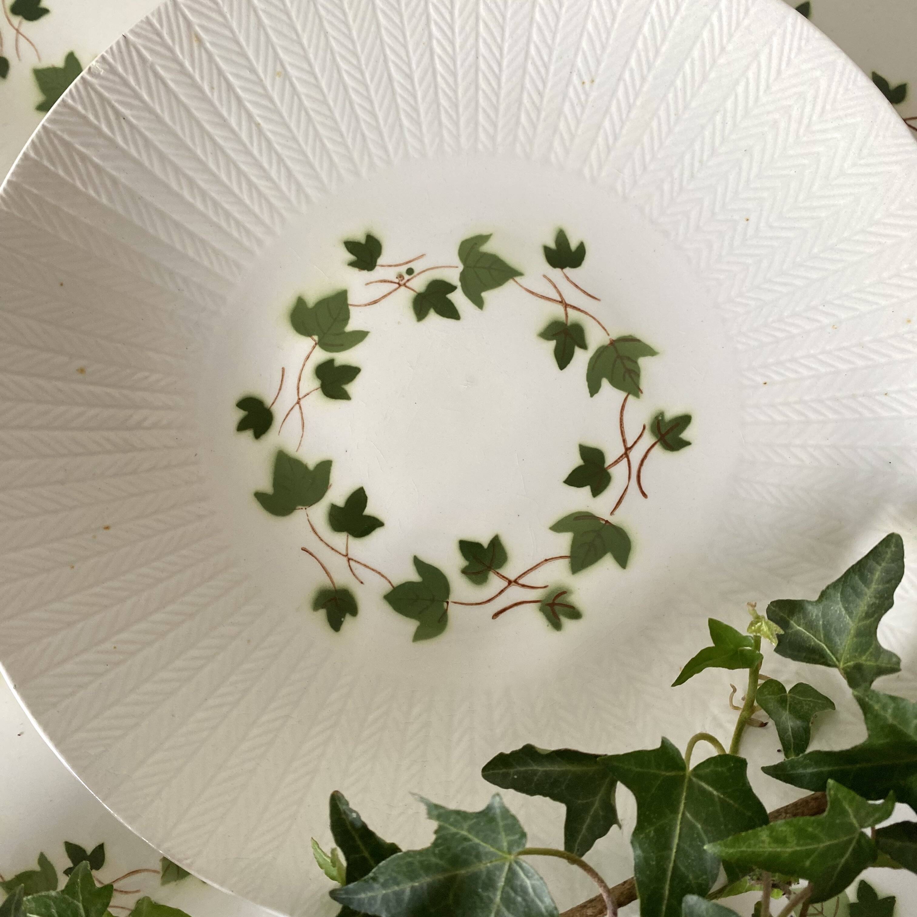 Saint Amand Ceranord deep plates, Bourrasque