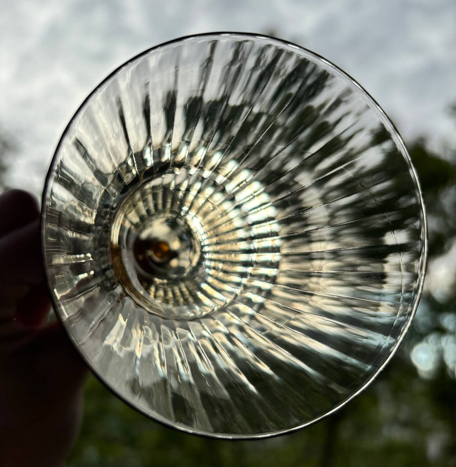 Verres style Gallée