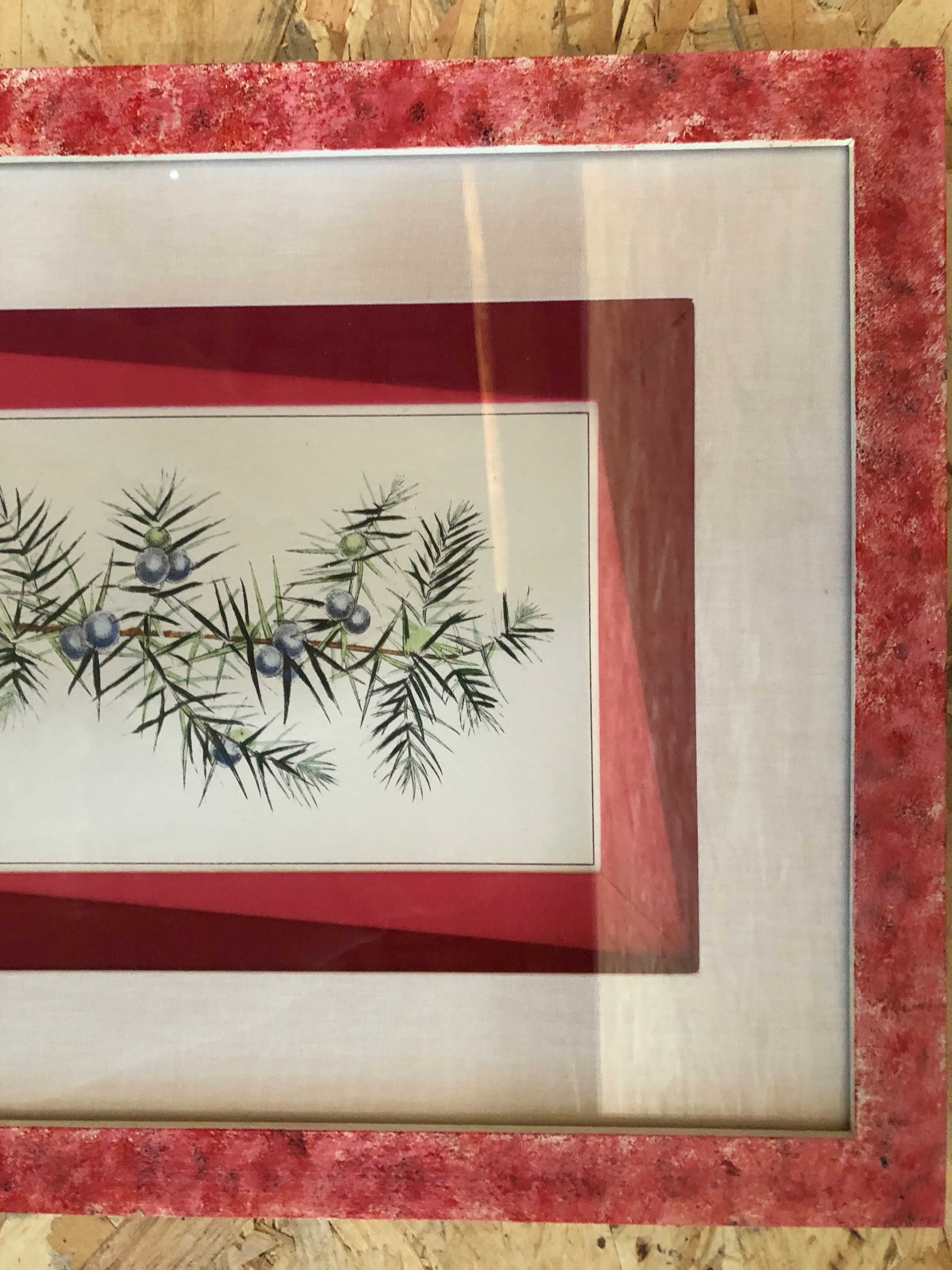 Old Botanical Board GENEVRIER + Fabric Bottom + Vintage RoseWood Frame