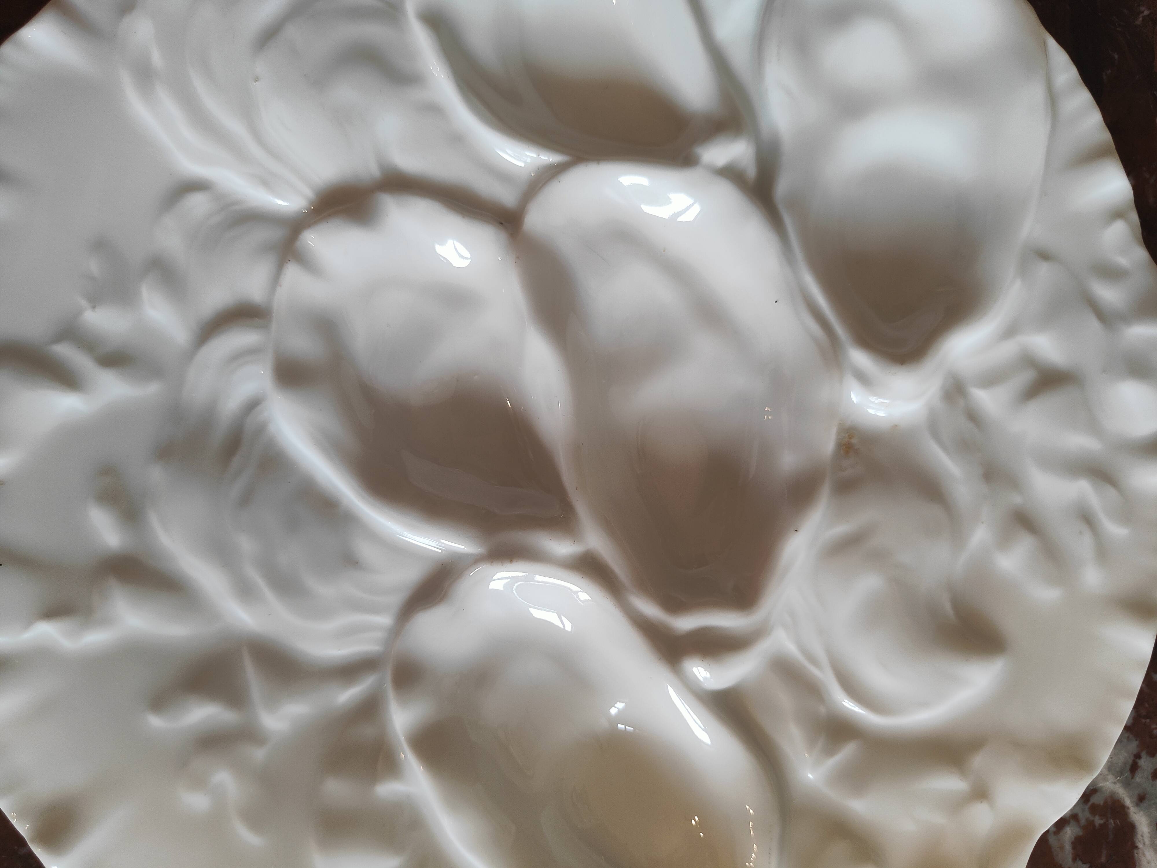 Oyster plate 19th century porcelain Haviland & Co Limoges France