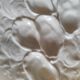 Oyster plate 19th century porcelain Haviland & Co Limoges France